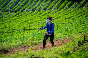 BIB: 
                            <button type="button" onclick="openModal(19163064)" class="btn btn-primary btn-sm float-right btn-popup" data-toggle="modal" data-target=".modal-high-quality">
                        <i class="fas fa-shopping-cart"></i> Add to Cart
                    </button>
                                            <button type="button" onclick="isThisMe(19163064, true)" class="btn btn-success btn-sm float-right btn-popup btn-isme hidden" data-toggle="tooltip" data-placement="bottom" title="นี่คือรูปของคุณใช่ไหม คลิกที่นี่เพื่อเอาเข้าอัลบั้ม">
                        <i class="fas fa-plus"></i> Add to album
                    </button>
                    <button type="button" onclick="isThisMe(19163064, false)" class="btn btn-warning btn-sm float-right btn-popup btn-isnotme hidden">
                        <i class="fas fa-ban"></i> Remove from album
                    </button>